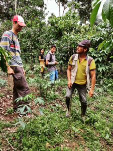 Besuch einer Kaffeeplantage in Ecuador